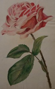 Watercolor Rose by Fred Von Hofe
